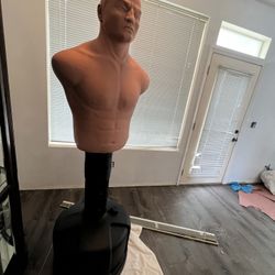 BOB Torso Training Bag