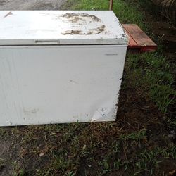 Deep Freezer ( Insignia ) 