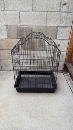Bird Cage