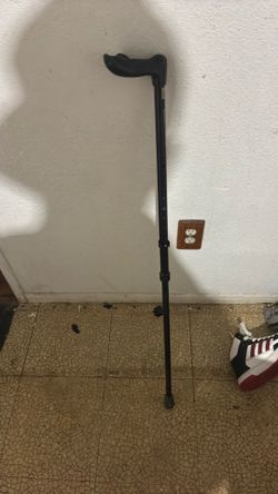 Walking cane