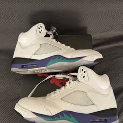 Jordan 5 Grape Size 10.5