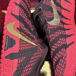 Nike Ja 3 Year Of The Horse Size 13