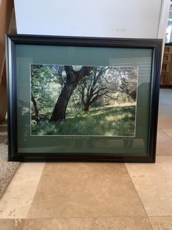 Mt Diablo Framed Photo