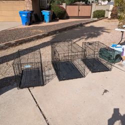 Dog Kennels 