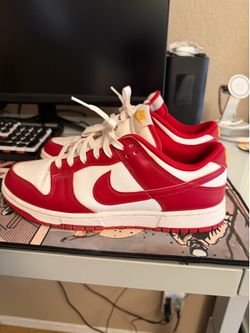 Nike dunks size 9