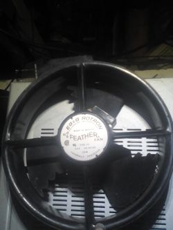 Feather fan by rg&g rotron