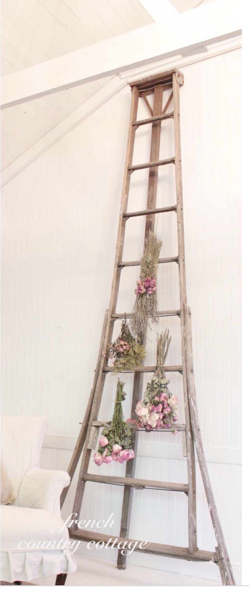 Antique orchard ladder