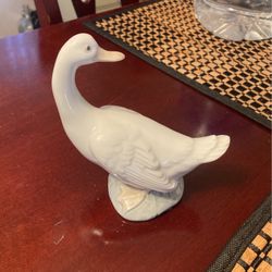 Llardo 