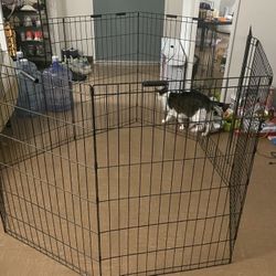 rabbit cage