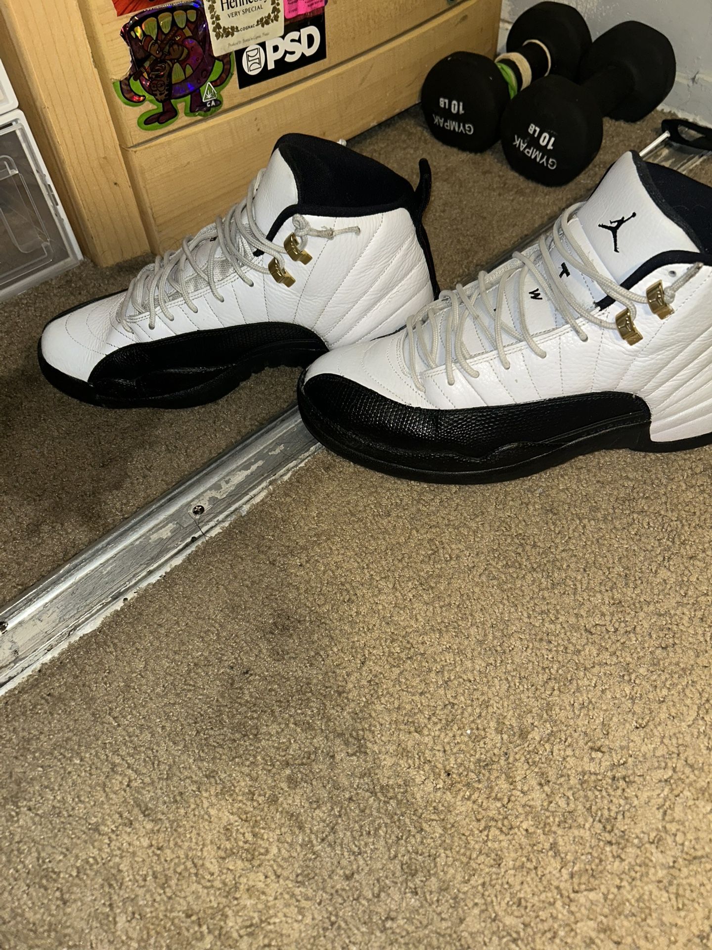 Jordan 12s