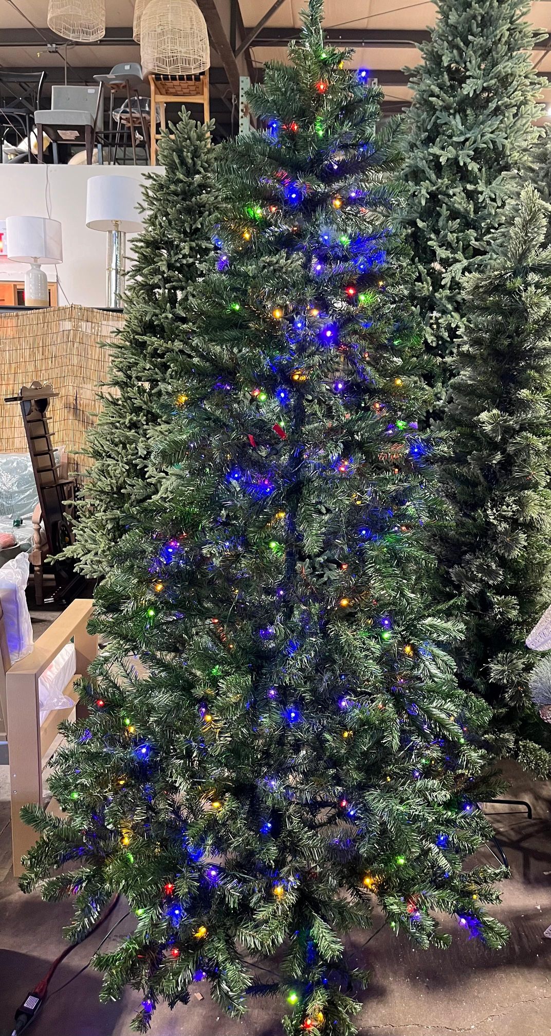 Pre-Lit LED Alberta Spruce Artificial Christmas Tree - Wondershop™