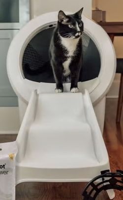Self Cleaning Litter Box (white)