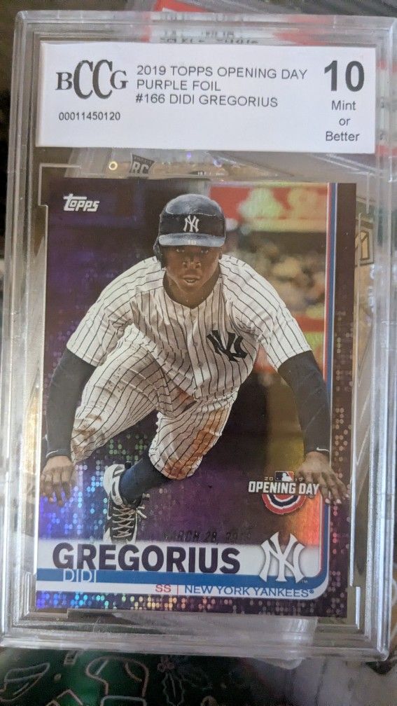 Graded Trading Card Lot!