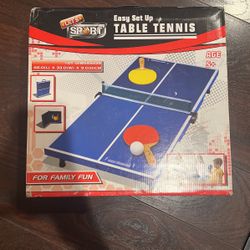 Table Tennis 