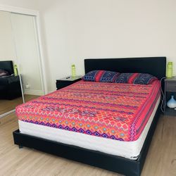 Queen Bed Frame & Box Spring