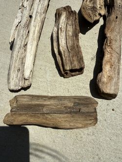 Driftwood