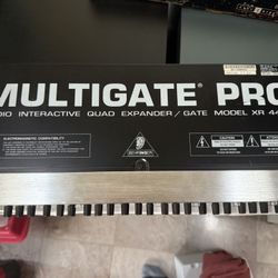 Multigate Pro Xr440 4 Channel Expander/gate