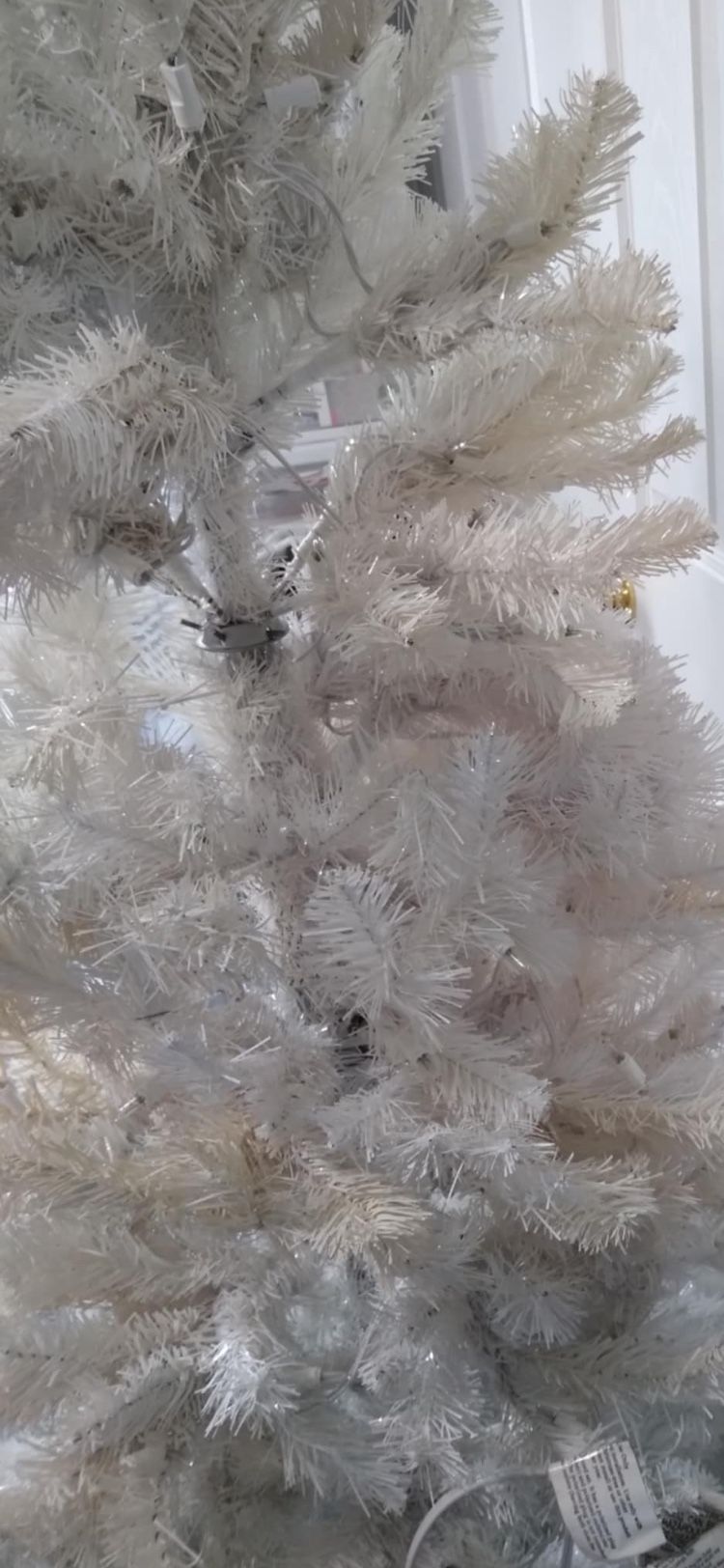 Nice Christmas Tree With Light 6 Ft