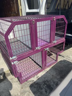 Kennel
