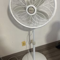 Fan