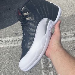 Playoff Jordan 12