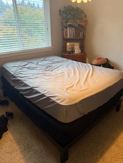 Full size bed ( free)