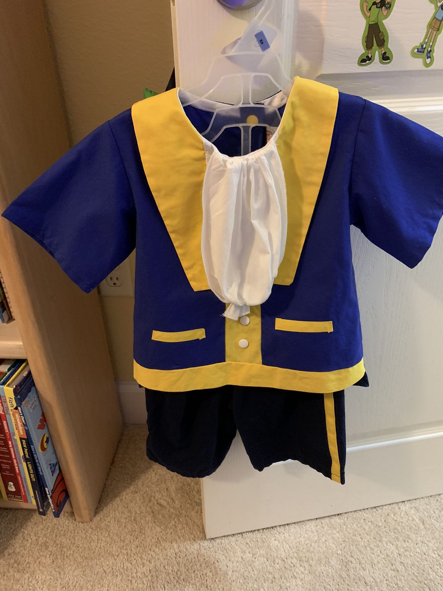 Beast costume (Beauty and the Beast)