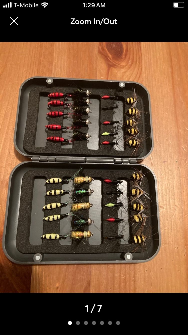 Fishing Buzz On