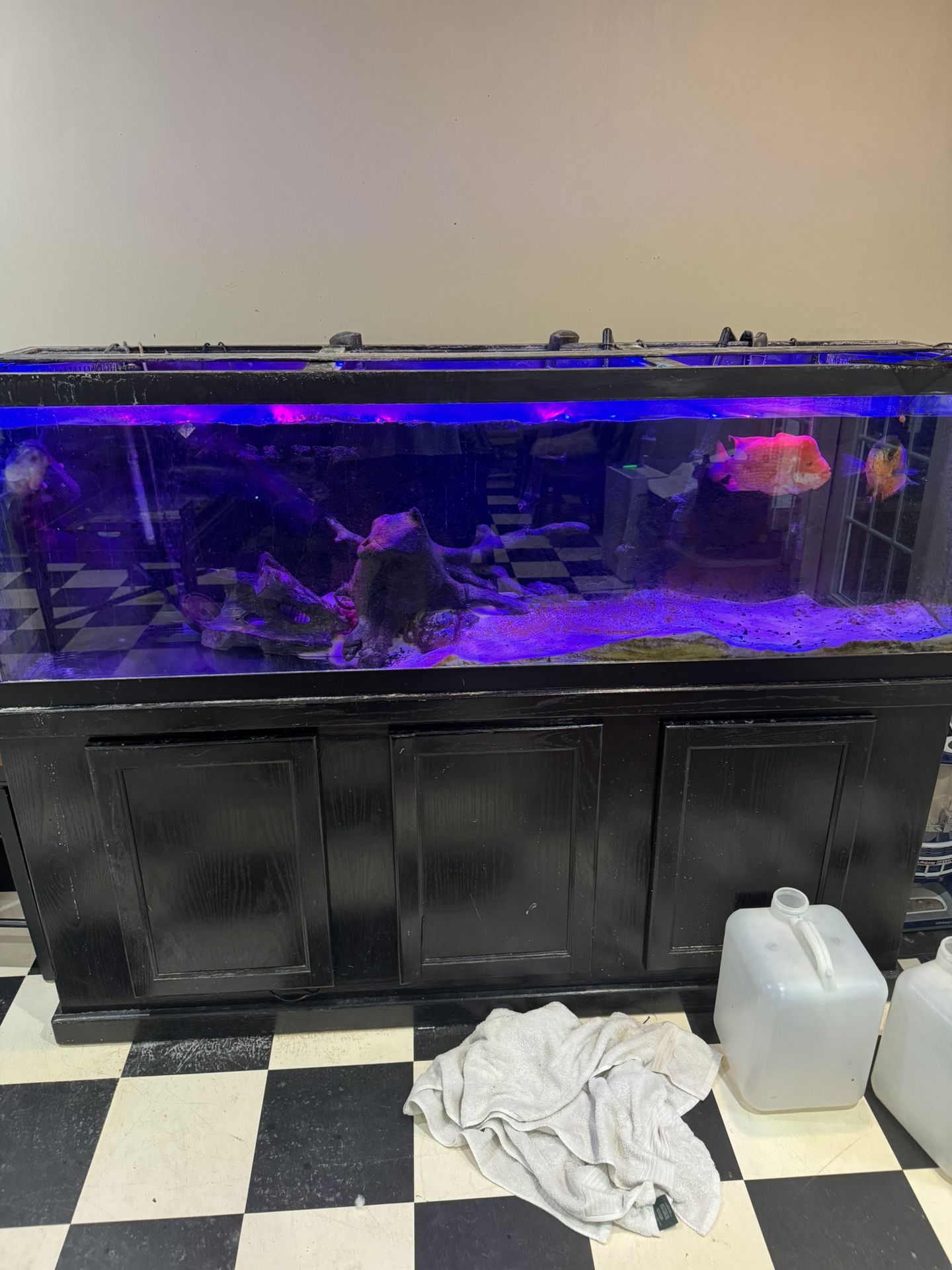 125 Gallon Fish Tank