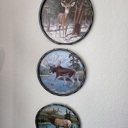 James Artic Platters