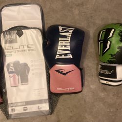 Everlast Pro Style Elite Gloves pink/Boxing