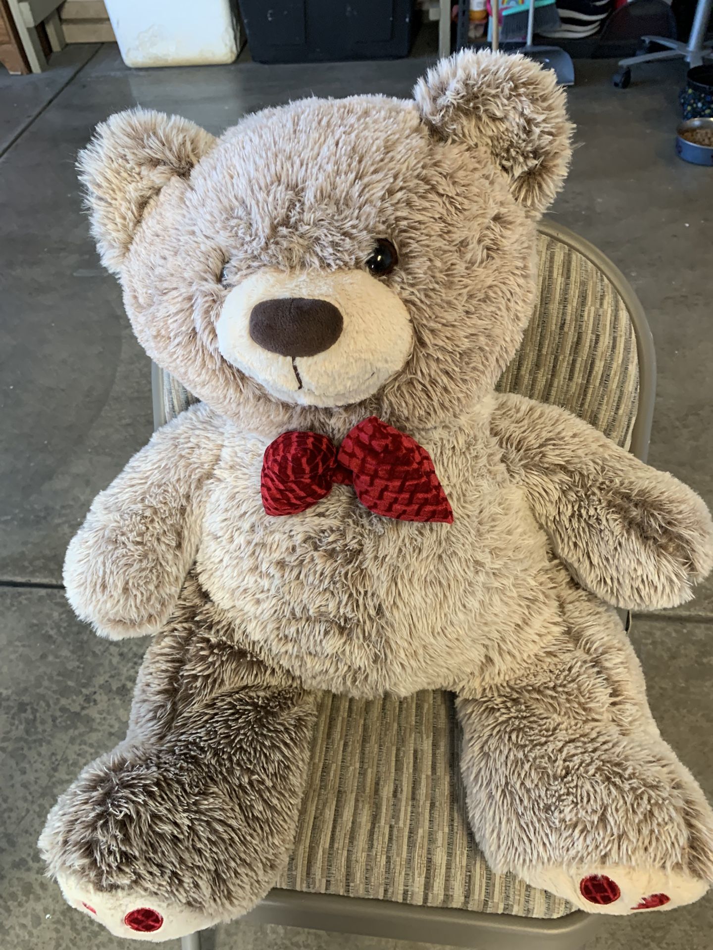 Teddy Bear