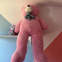 Stuffed Animal / Peluche / Teddy Bear