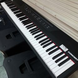 Alesis Can Ices 3 Electric Keyboard 