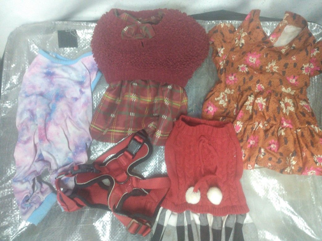 Dog Clothes Bundle For Female Size Small