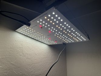 Grow Light