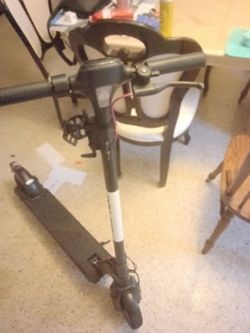 Gotrex apex max scooter black red n white