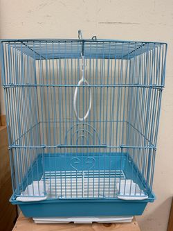 Bird Cages