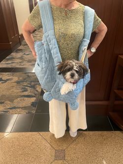 Fabric dog carrier vest. Wear front or back