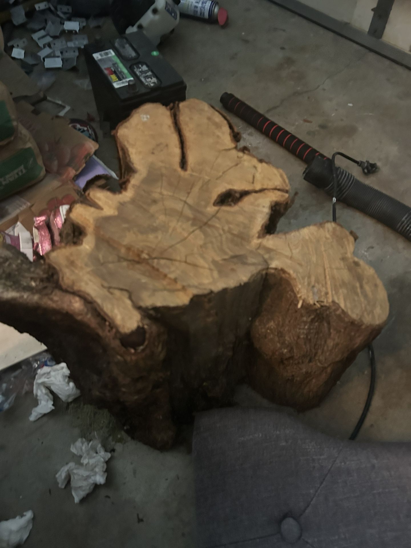 Thick Perfectly Cut Maple Wood Tree Bark