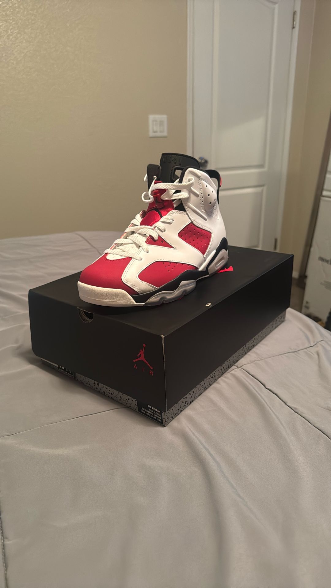 AIR JORDAN 6 RETRO (2014)