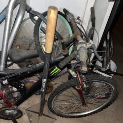 Monster Logo! Mountain Bikes And Children’s Bicycles