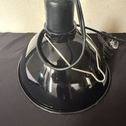 Reptile Light Zoo Med New