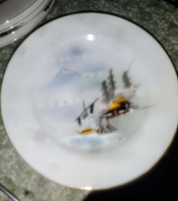 Hayashi Japanese Plate