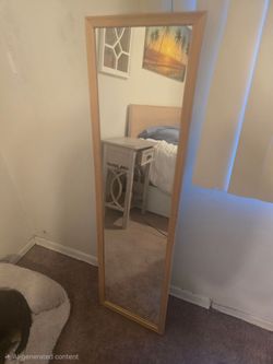 Mirror