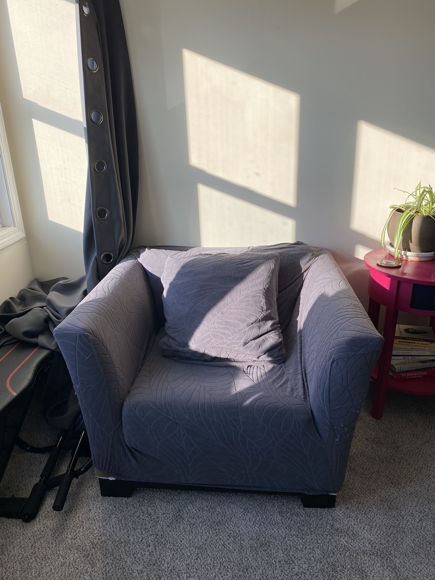 Free Armchair With Cover