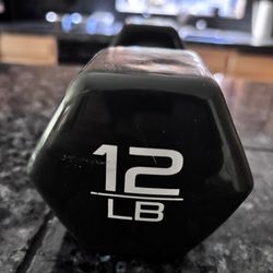 12 Lb Dumb Bell Only 1 CASH