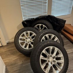 Moving Need Gone ASAP