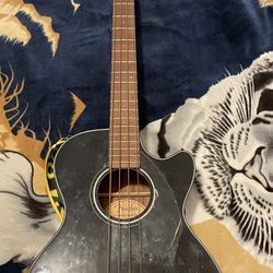 Fender Acoustic Bass