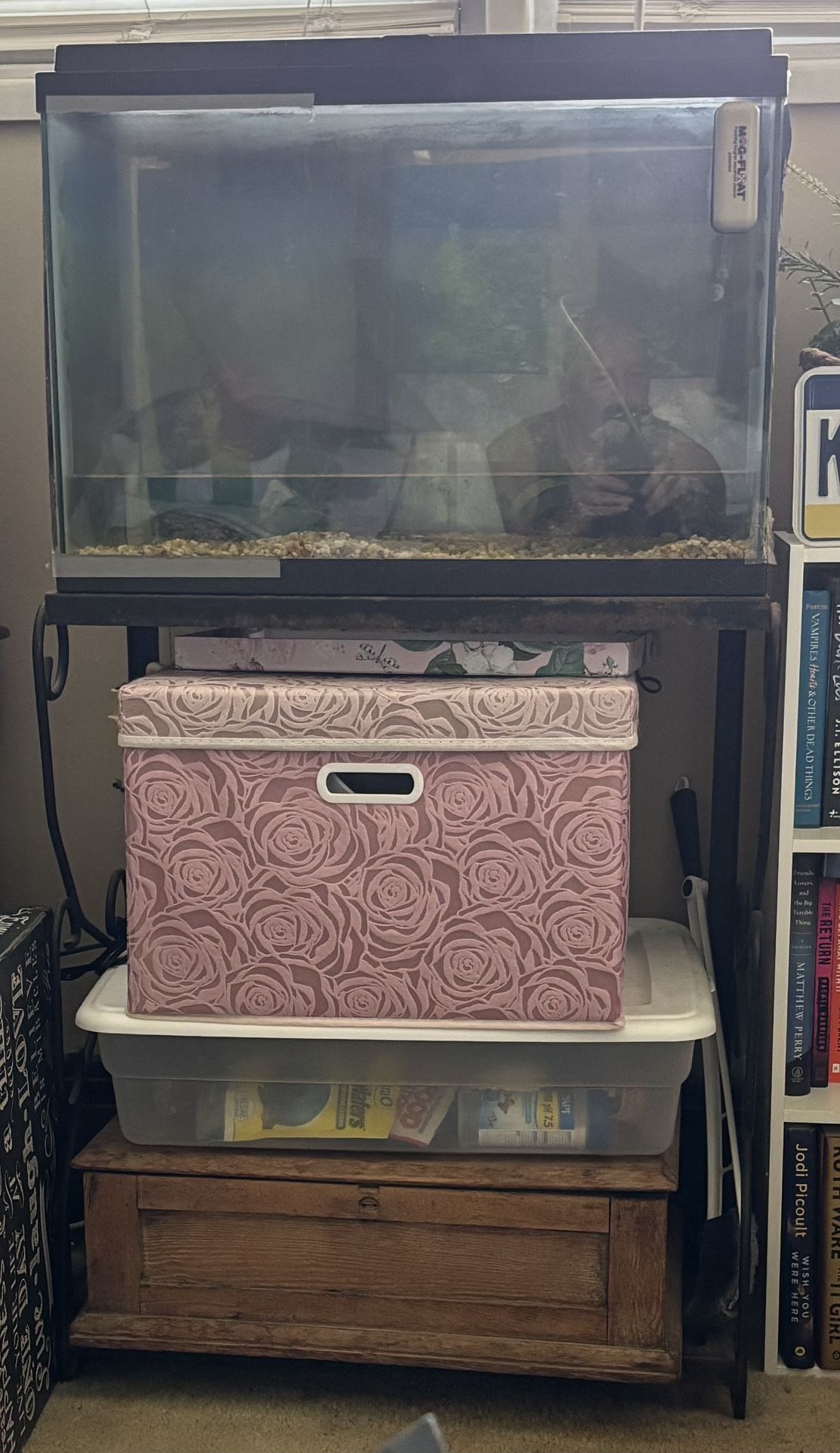 29 Gallon Fish Tank & Stand
